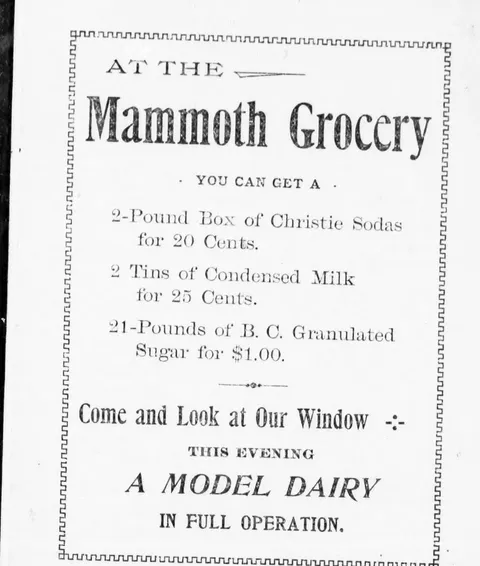 The Mammoth Grocery