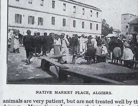 Native Market Place, Algiers