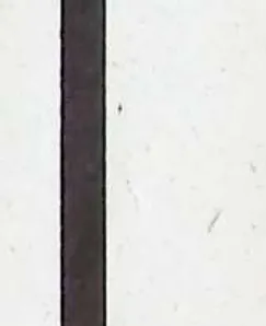 The Bronko Spanner