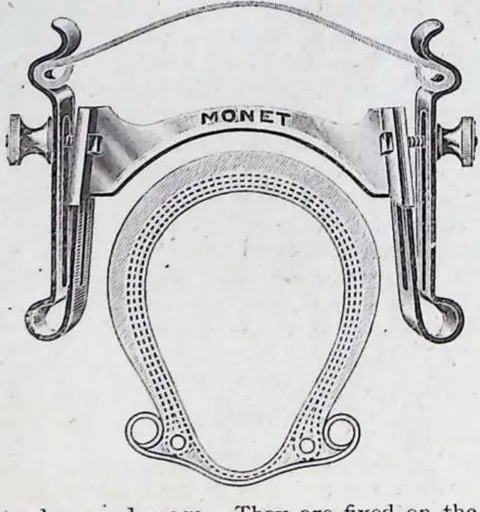 Monet thorn catcher