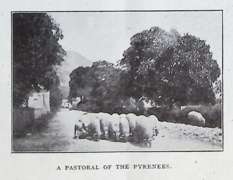 A Pastoral of the Pyrenees