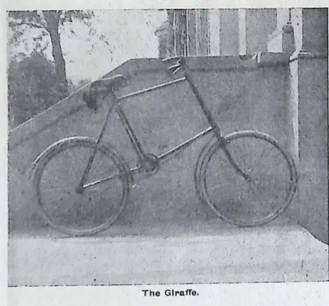 The Giraffe