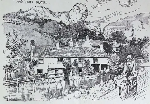Cheddar, the Lion Rock