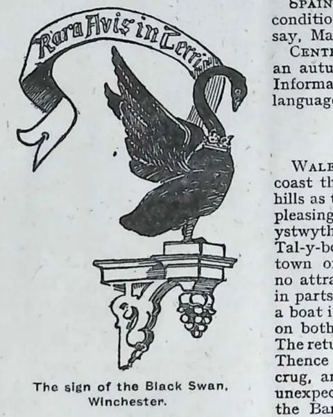 The sign of the Black Swan, Winchester