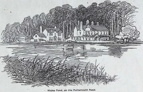 Wisley Pond, on the Portsmouth Road