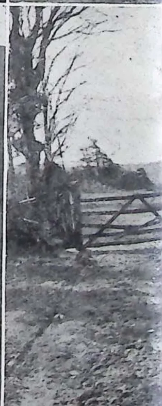 Off the beaten track: a field gate on the approach to Llyn Cwm Bychan
