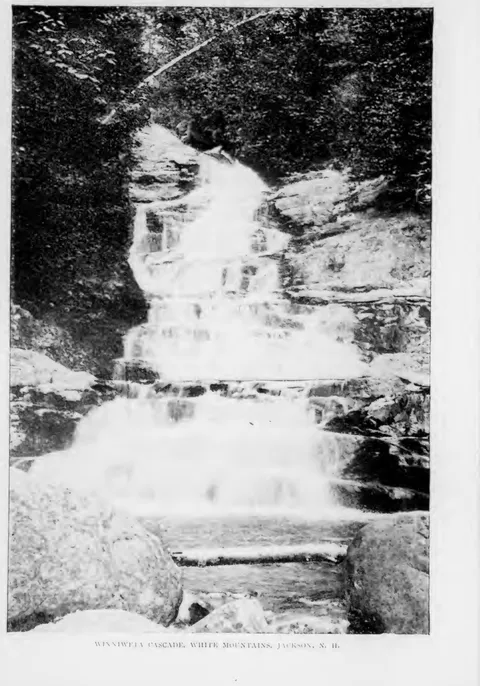Winniweta Cascade, White Mountains, Jackson, N.H.
