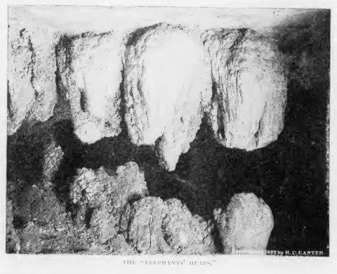 The "Elephants' Heads"