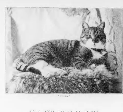"Tibbie."