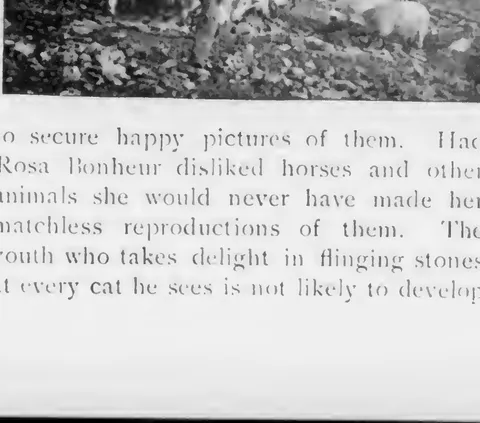 A man with young pigs