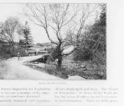 Road to Moss Glen