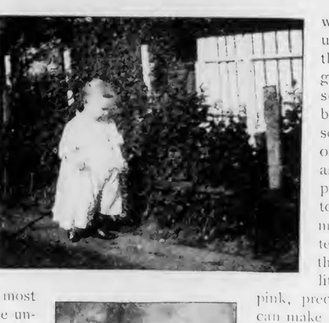 Photographing the Baby (child at fence)
