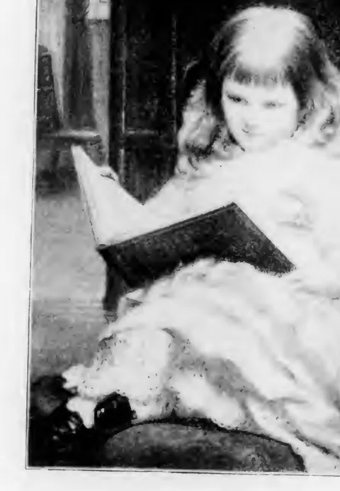 Life's Story Book