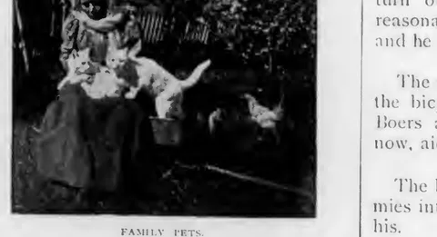 Family Pets