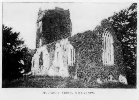 Muckross Abbey, Killarney