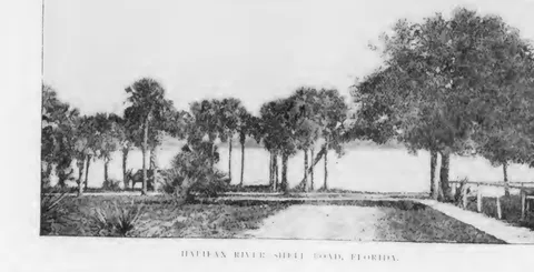 Halifax River Shell Road, Florida