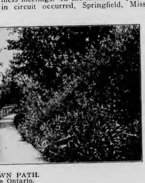 Forest Lawn Path, Along Lake Ontario