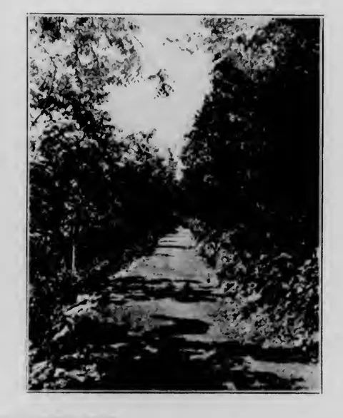 Ulster County sidepaths, near Saugerties, N. Y. (view 2)