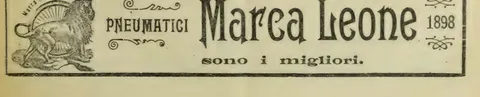 Pneumatici Marca Leone