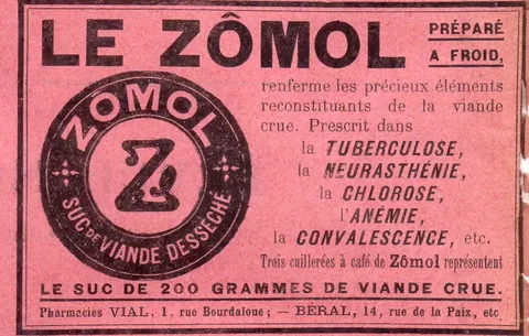 Le Zômol