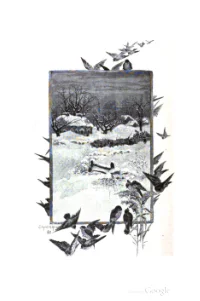 Outing And The Wheelman, Vol 3, No 6 cover