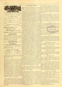 The Wheel Cycling Trade Review, Vol 11, No 25 cover