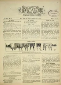 The Wheel Cycling Trade Review, Vol 16, No 5 cover
