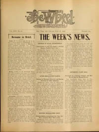 The Wheel Cycling Trade Review, Vol 25, No 20 cover